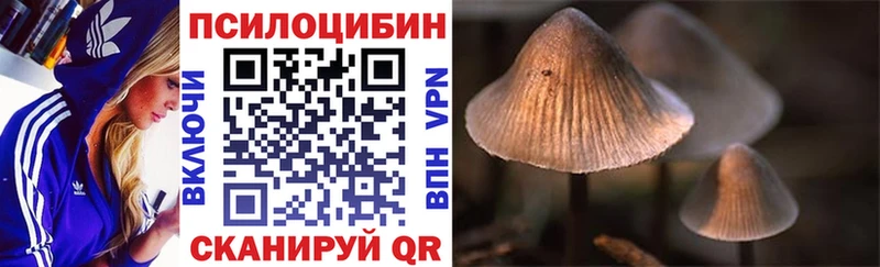 где найти наркотики  Нижний Ломов  Галлюциногенные грибы мухоморы 